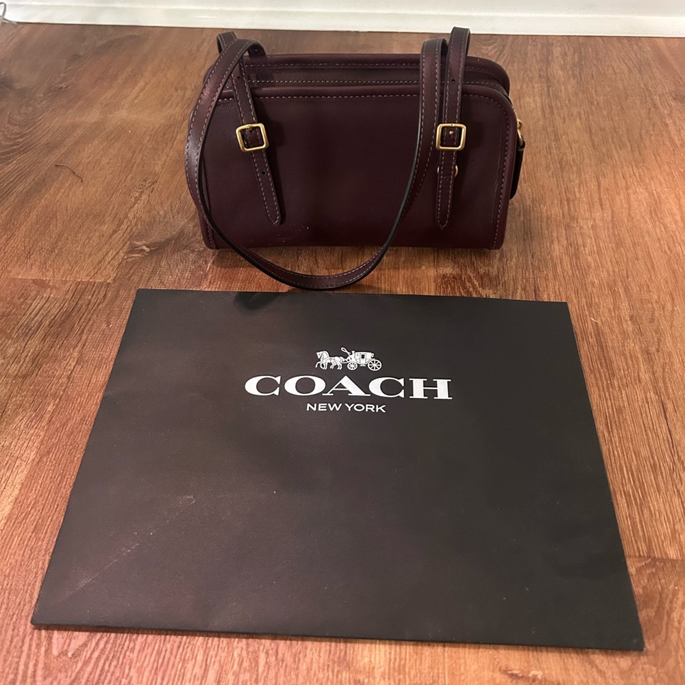 COACH Mini Swing Zip Bag